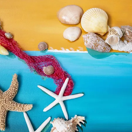 Sonho Dourado De Porto Santo